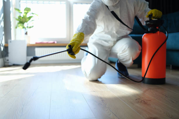 Reliable Odor Removal contractor in Le Grand, CA by Trauma Clean Pros